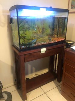 Aquarium with stand