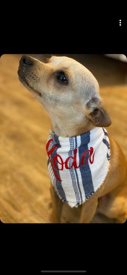 Dog bandanas