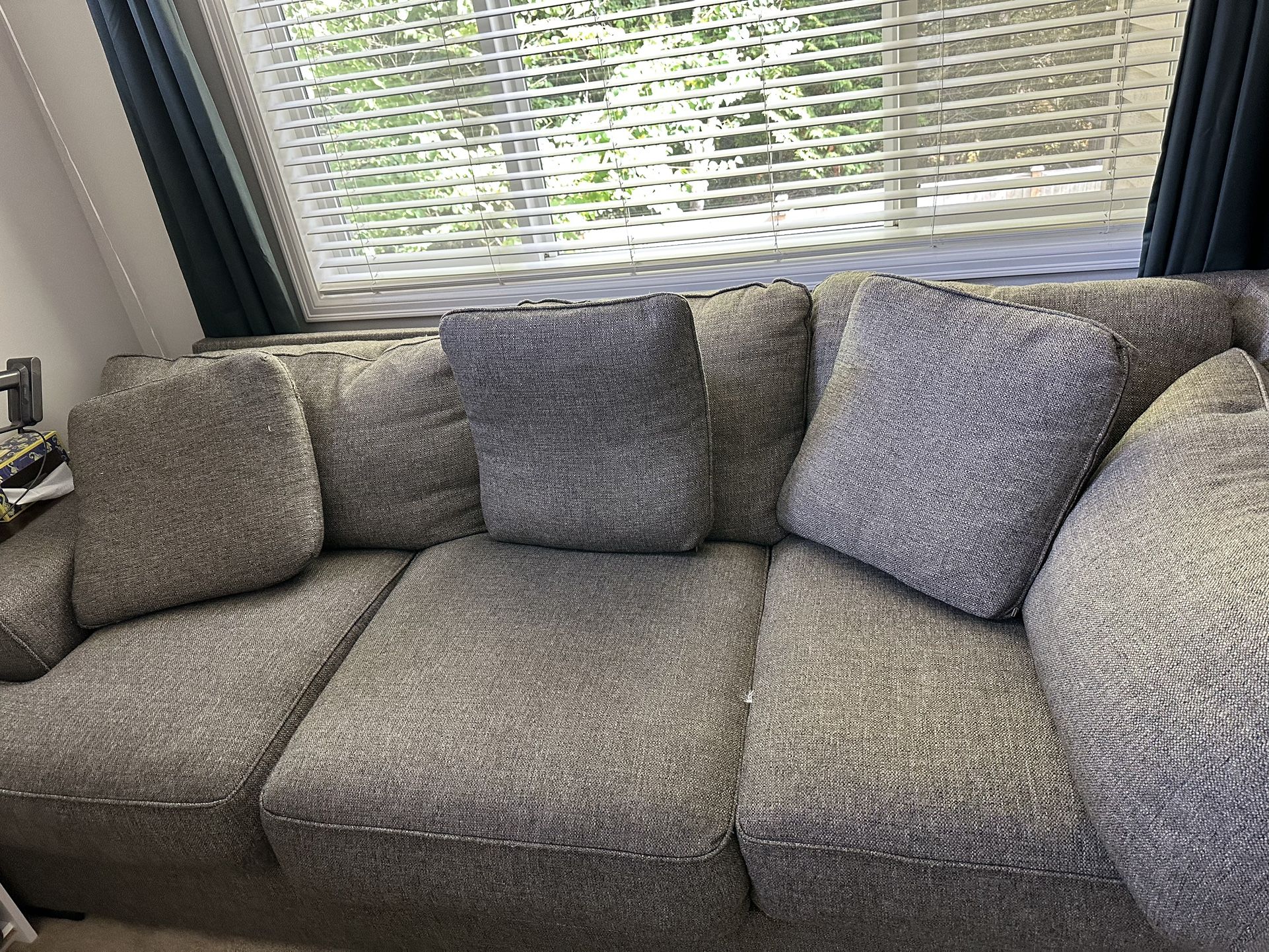 Free Sectional Couch