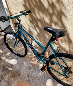 Roadmaster chromium edition Vintage Like BRANDNEW 💯❗️