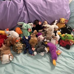 Beanie Babies!!