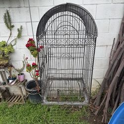 Birdcage