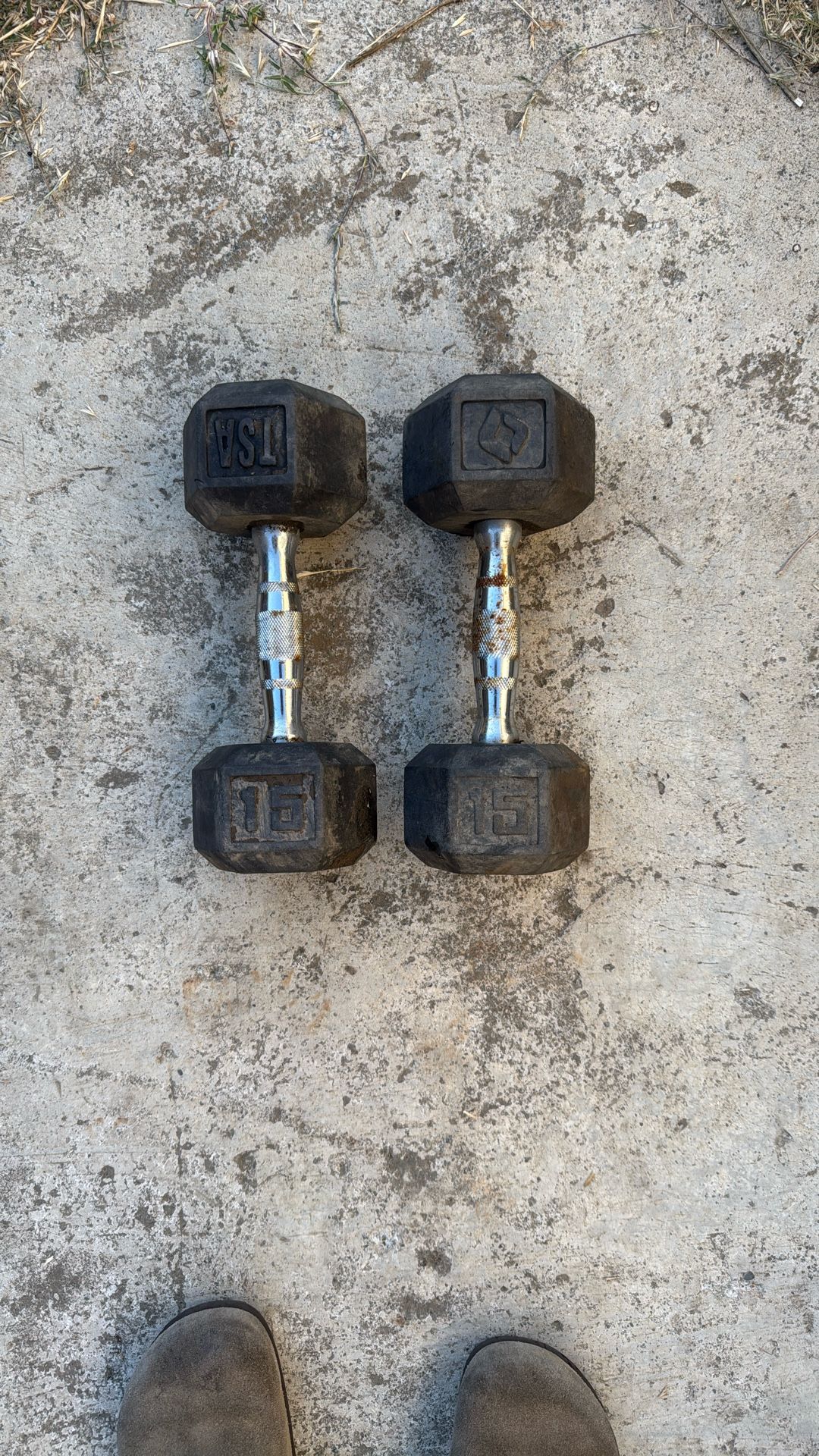 15lb Dumbbells