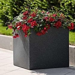 20" x 20" Cube Shaped Planter
