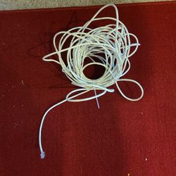 Extra Long Eithernerr And Printer Cables 