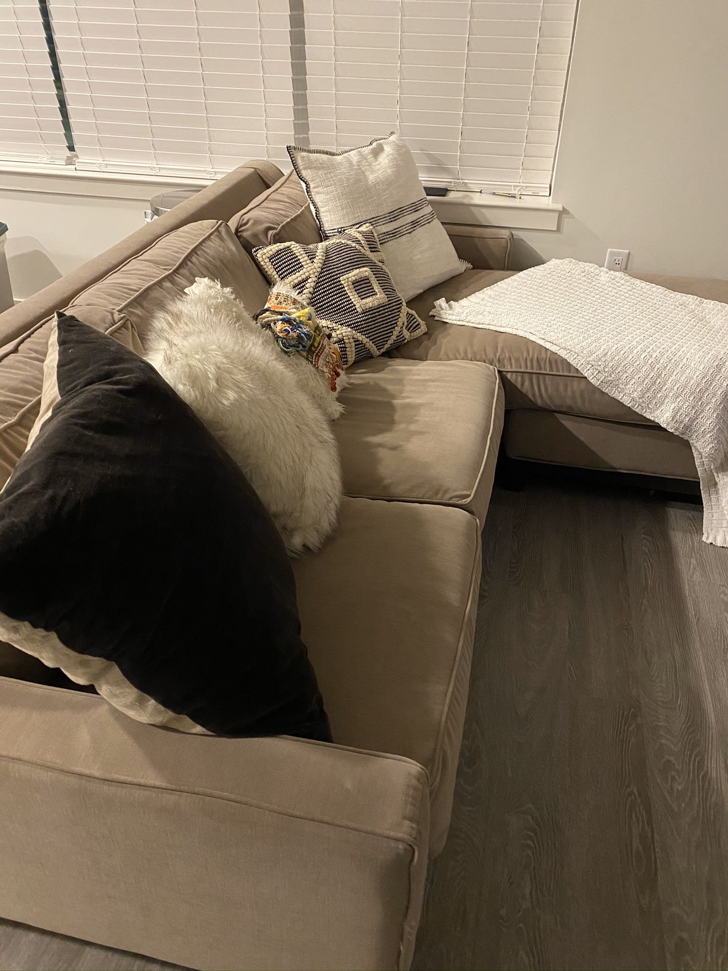 Neutral Sectional Couch