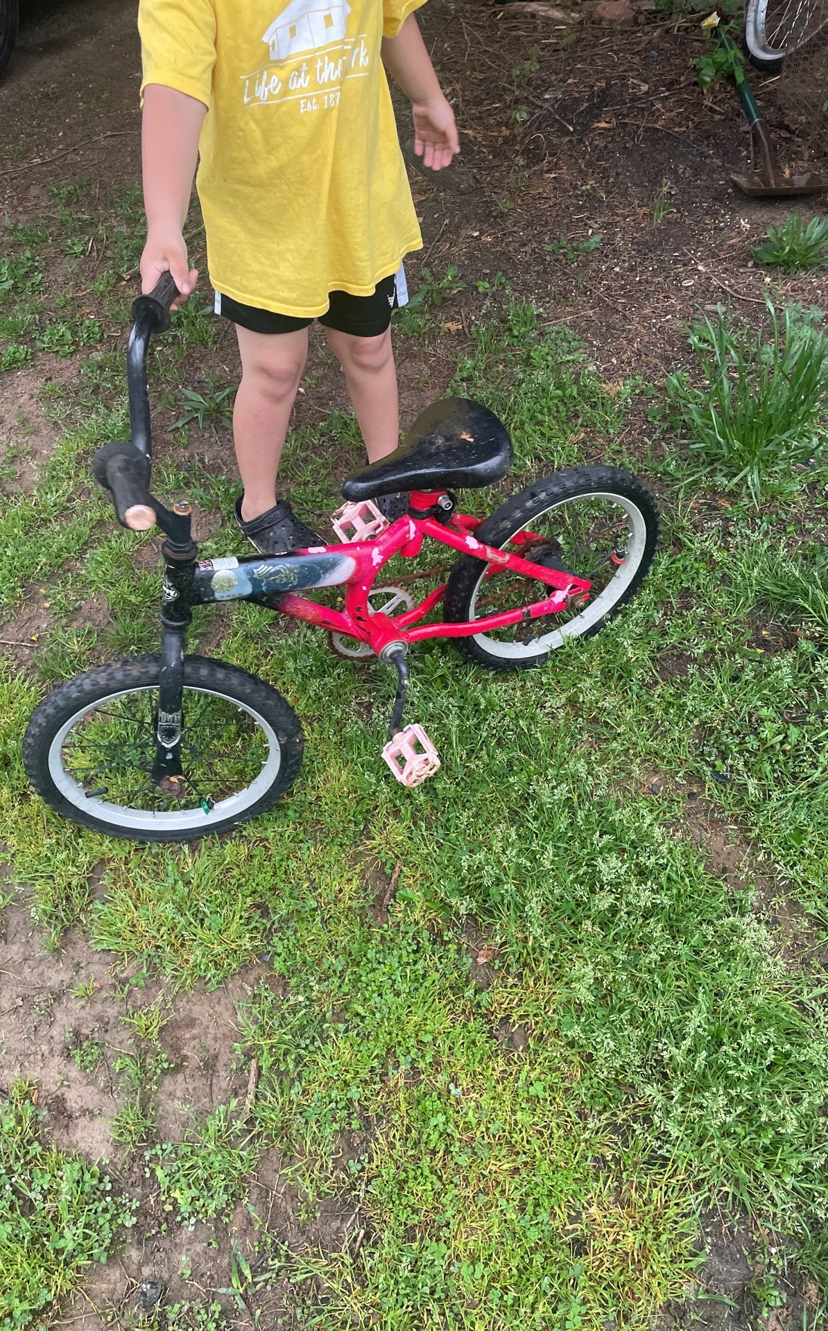 Kids Bike
