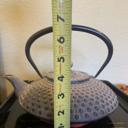 Japanese  cast-iron Teapot