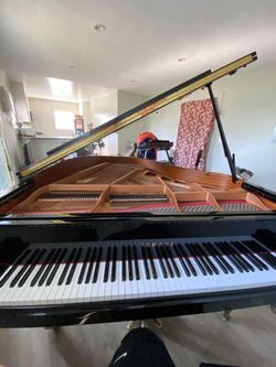 Brilliant Masterpiece Yamaha Ebony finish! Beautiful Sound!