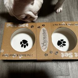 Glazed Stoneware 2 Pet Bowls And Metal Stand