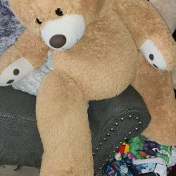 Bears 