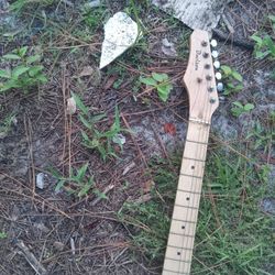 Davidson Guitar