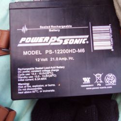 2 Power Sonic Batteries 