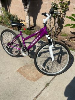 Kent Terra 2.4 Mountain Bike