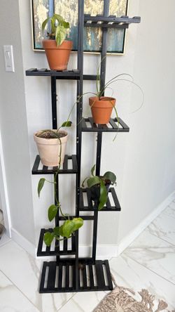 Multi tier plant stand  with plants and pots