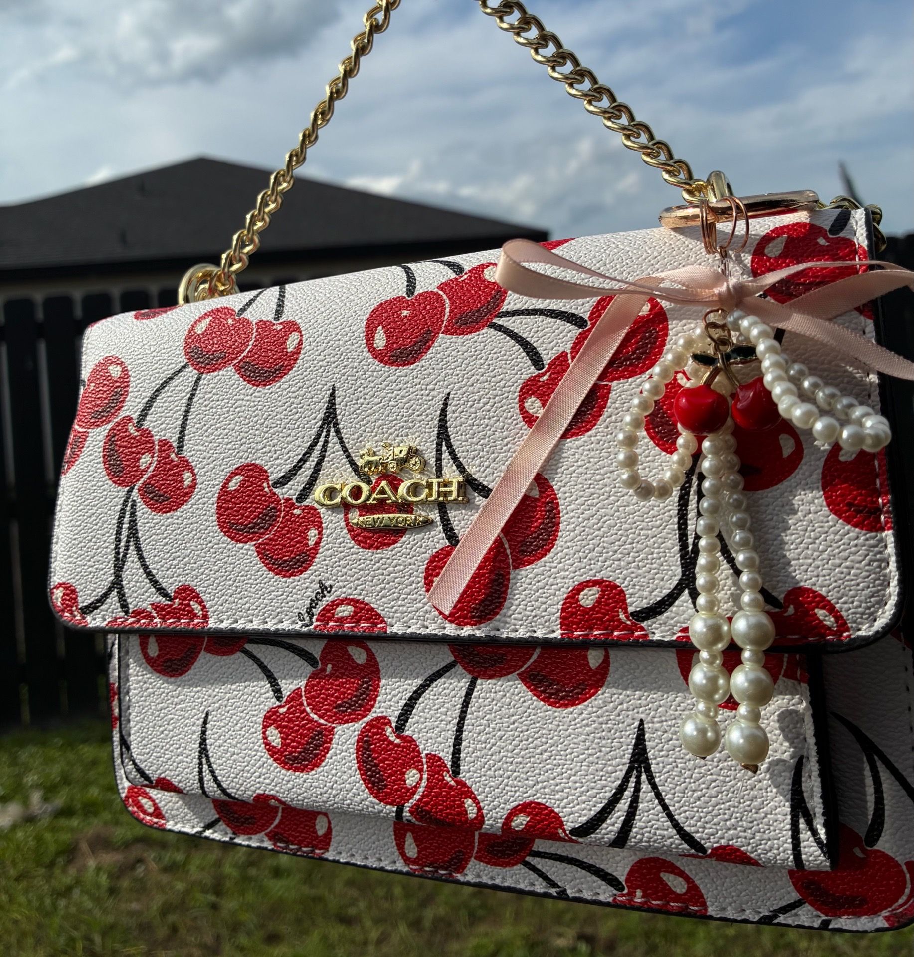 Cherry Crossbody bag ๐๐คโจ