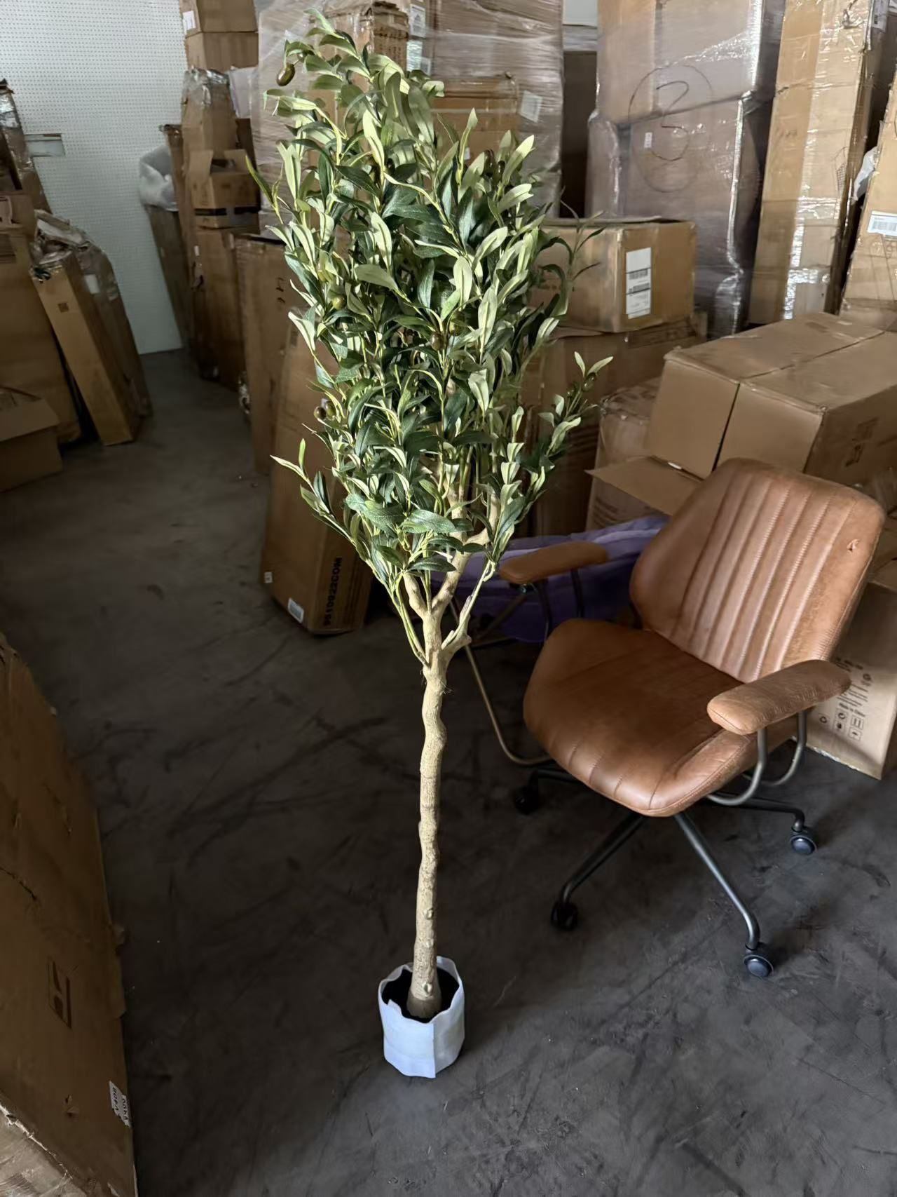 New Artificial Olive Trees, 5 ft Tall Fake Olive Trees for Indoor, Faux Olive Silk Tree, Large Olive Plants with White Planter for Home Decor