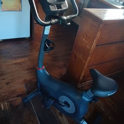 SCHIWN EXERCISE BIKE 