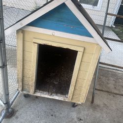 Dog House 