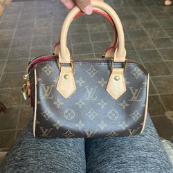 Luis Vuitton Purse