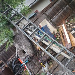 Extension Ladder 75