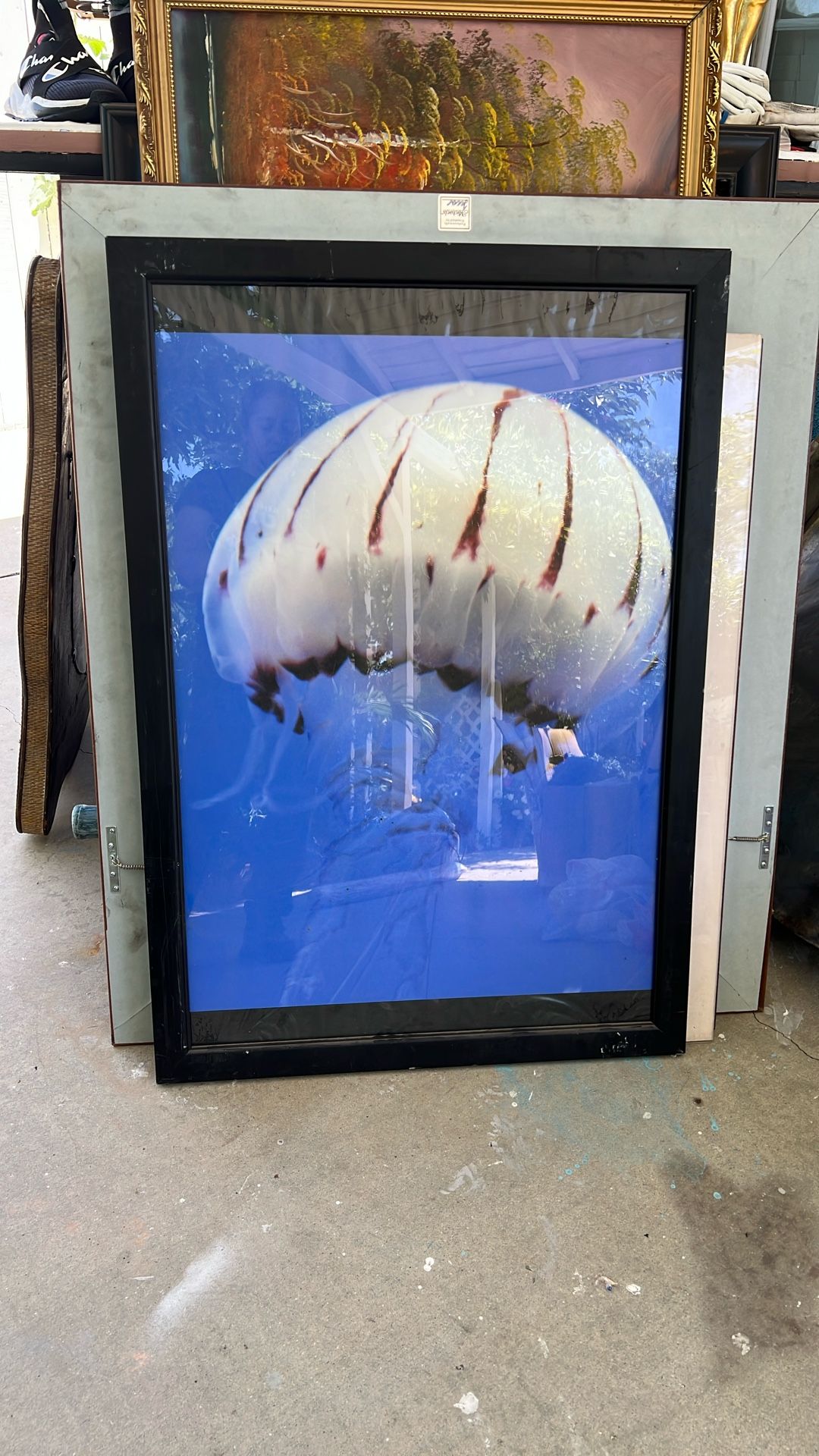 Sea Theme Frames