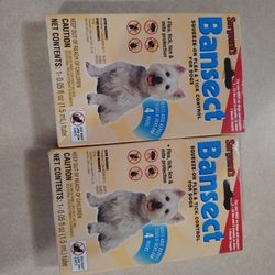 Puppy lot Some Things New