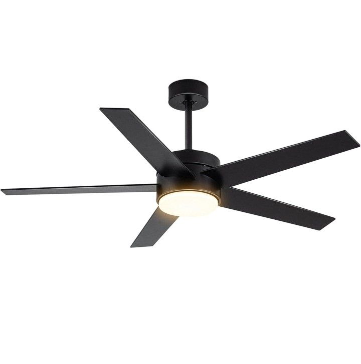 Modern Ceiling Fan with Light
