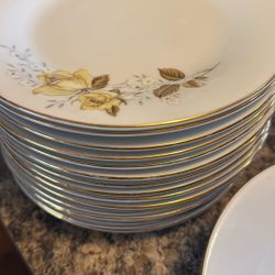 50+ Pieces Dish Set 