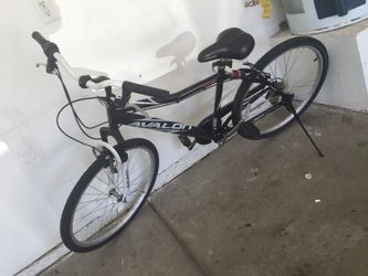 Avalon bike
