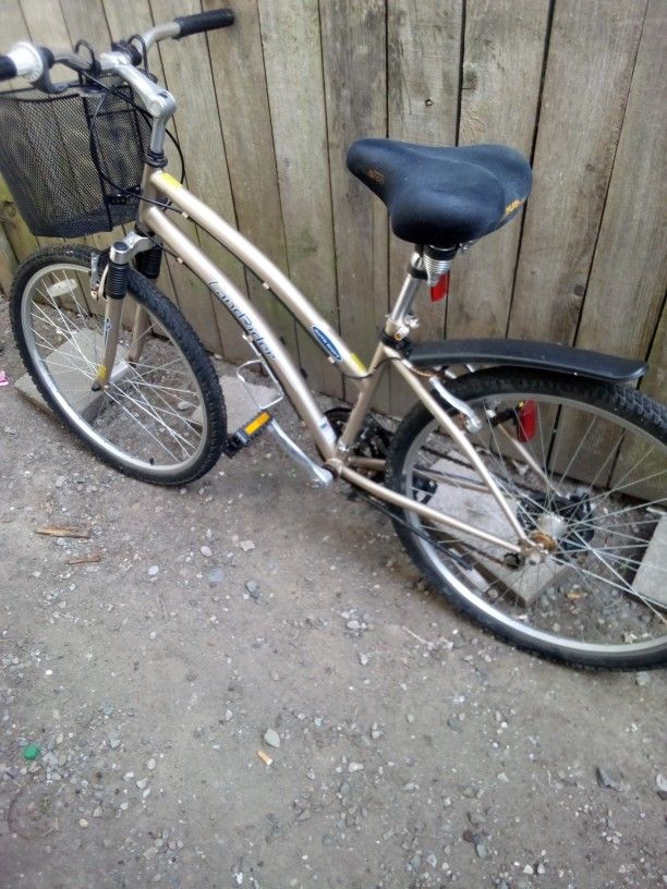 Lynn Rider Bicycle With Auto Shift It Has Very Low Miles On It Come Check It Out Very Comfortable Bike