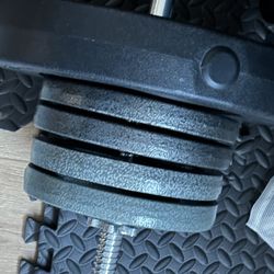 150 Lb Weight Plates + 13 Lb Barbell