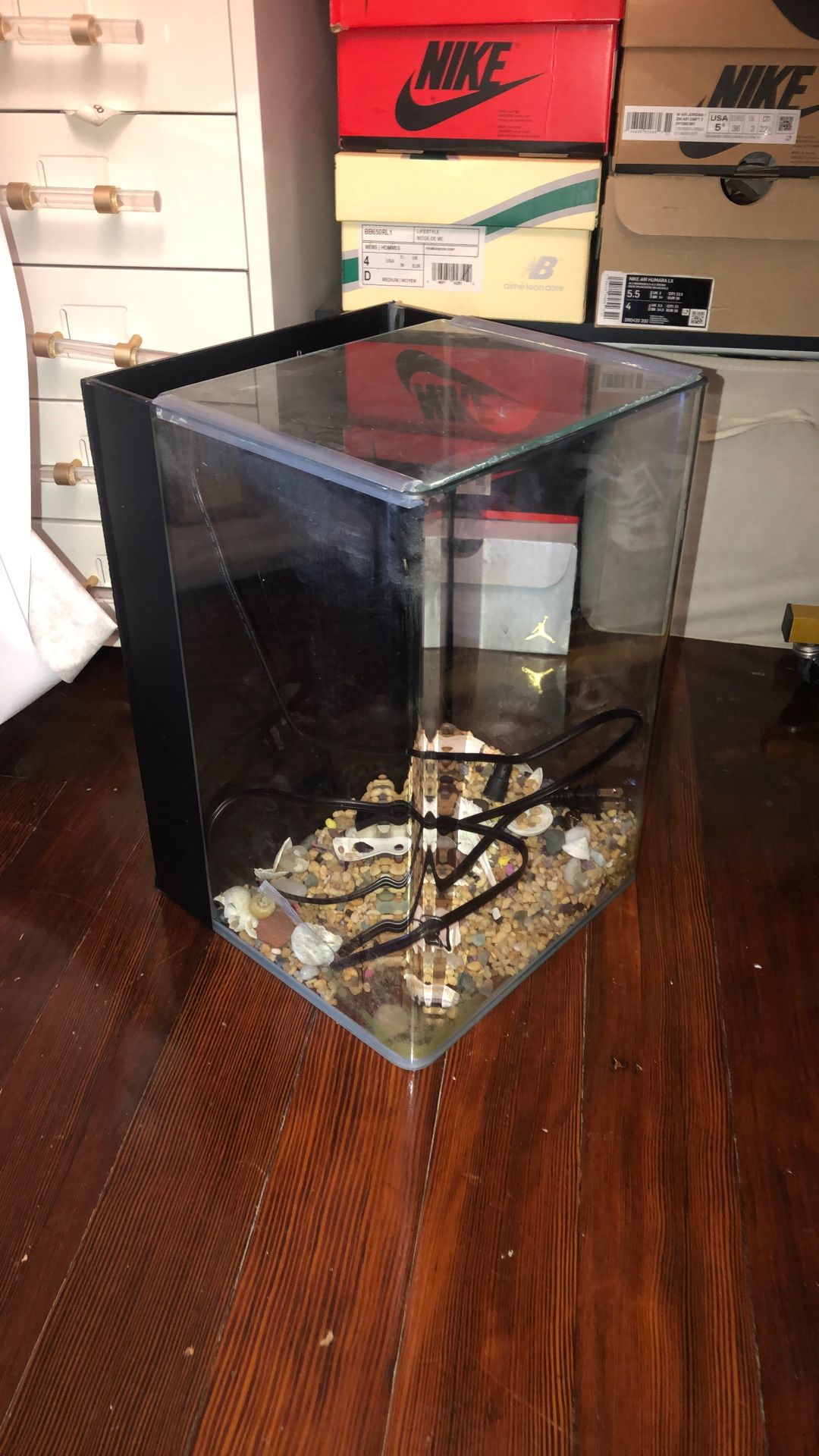 5 gallon fish tank