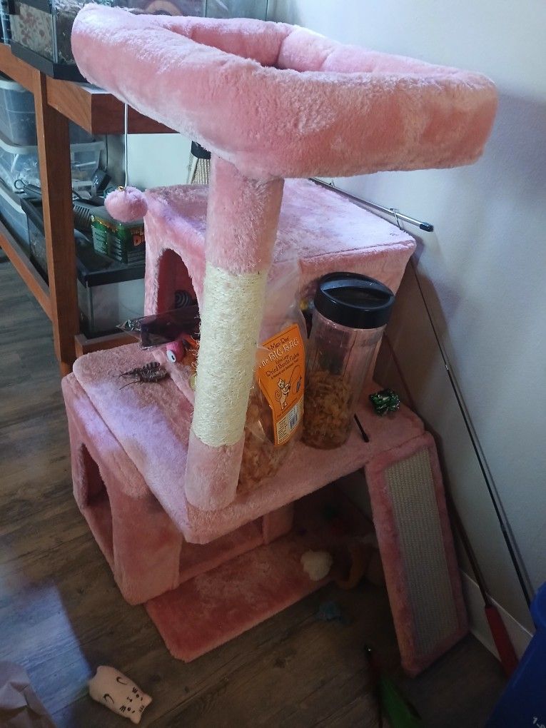 Cat Tree House