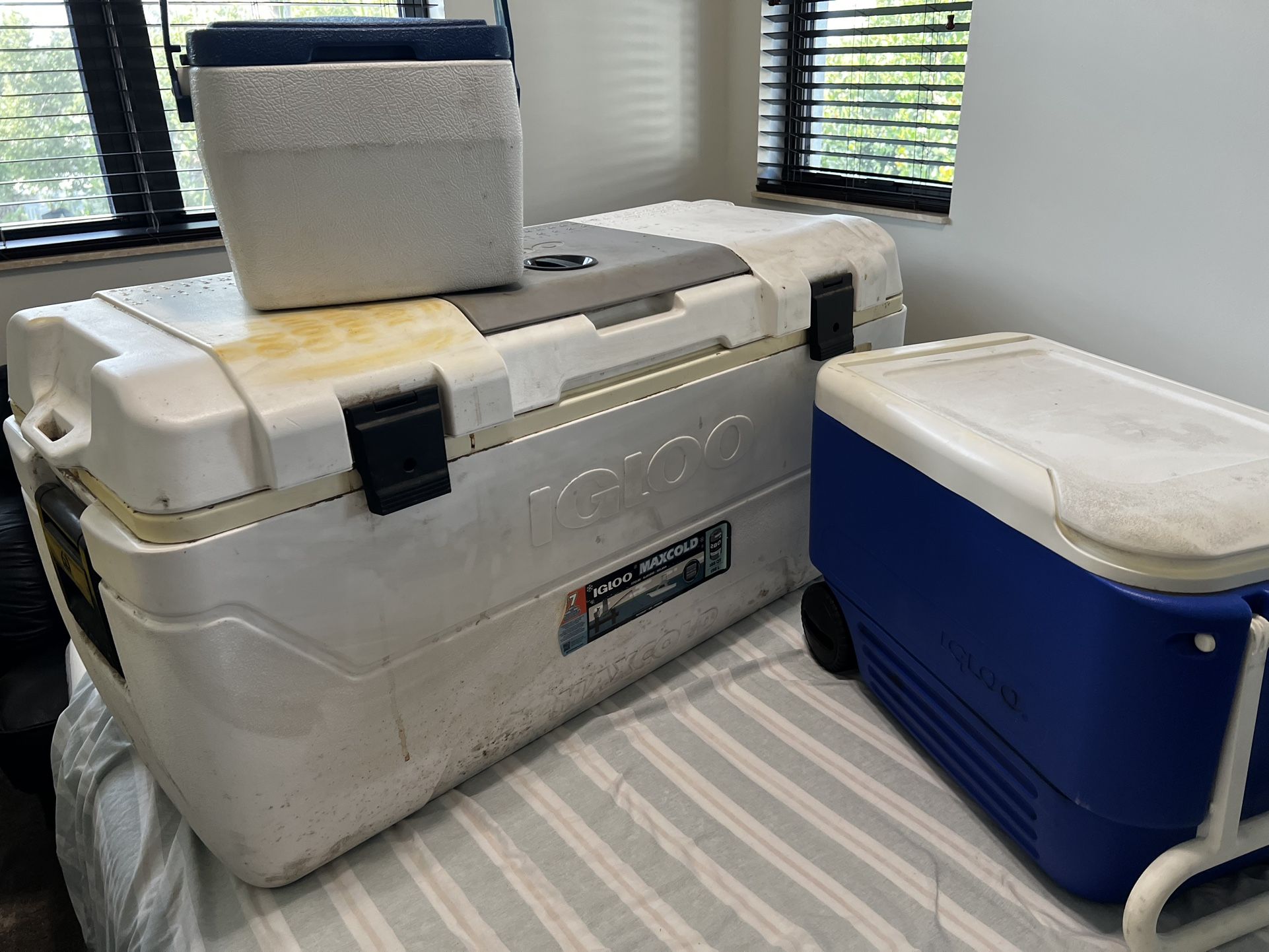 Ice coolers - 3 For Price Of 1!