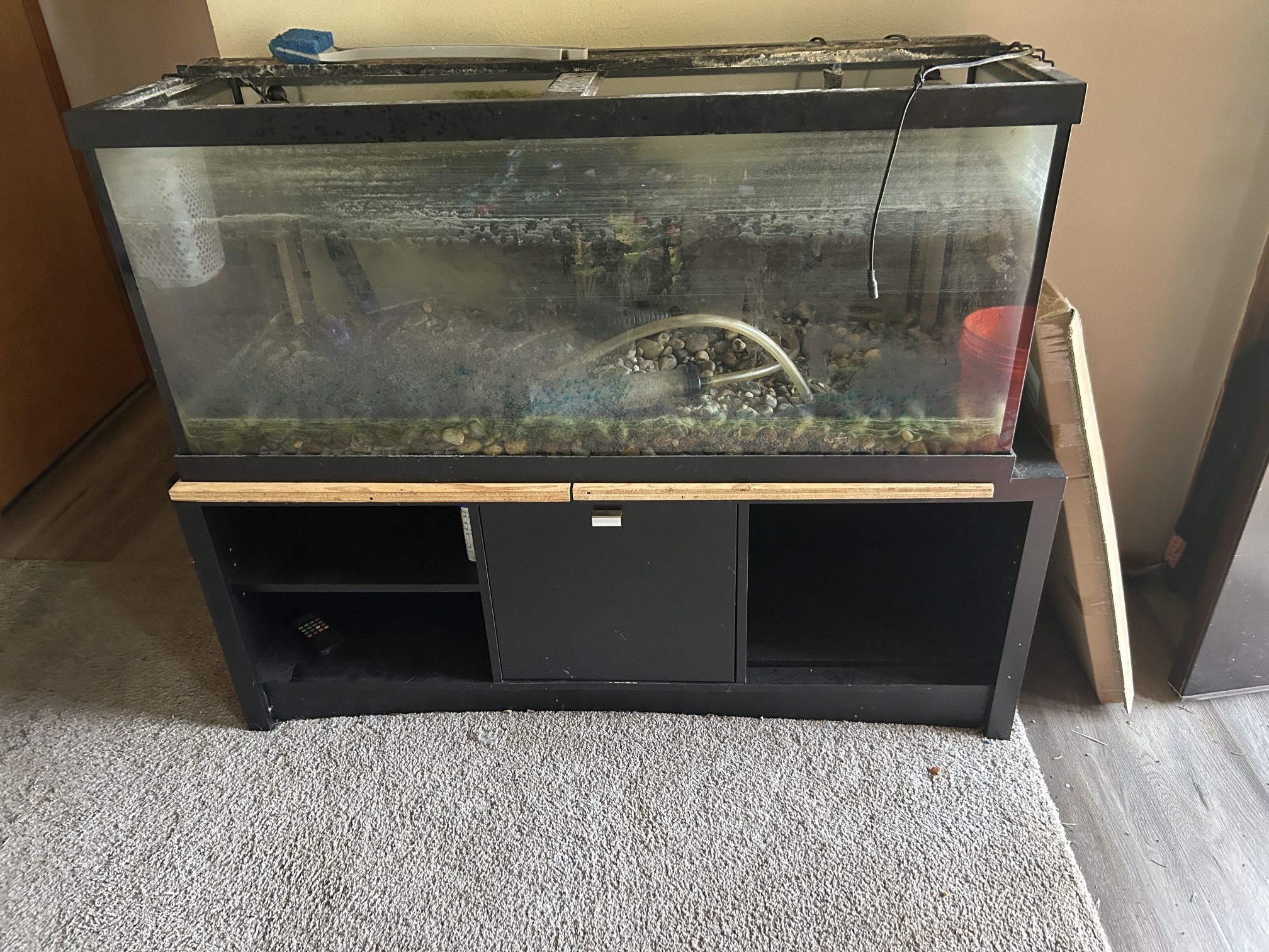 75 Gallon Fish Tank And Stand