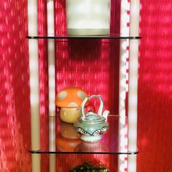 🌸🪴 90’s Style Glass Shelf 🪴🌸