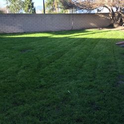 Gardening Services