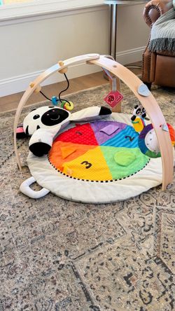 Baby Einstein Activity Gym Play Mat with Panda