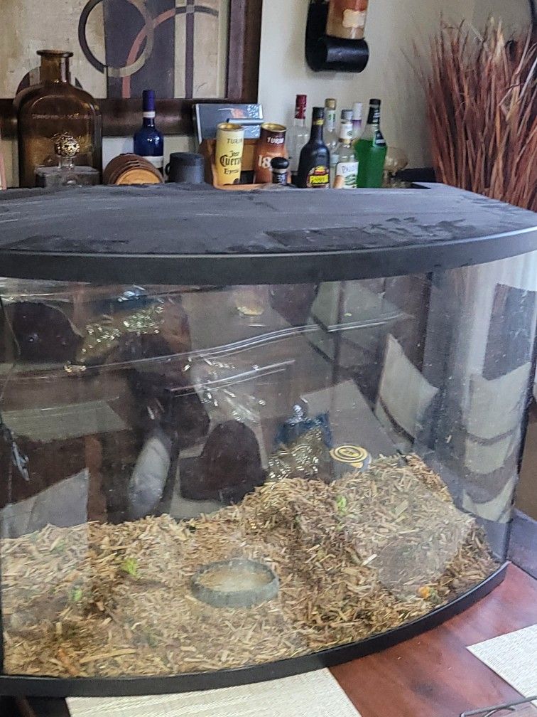 Fish Tank