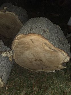Oak Tree Stump For Table