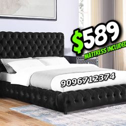 King Black Button Platform Bed w. Orhopedic Mattress Included