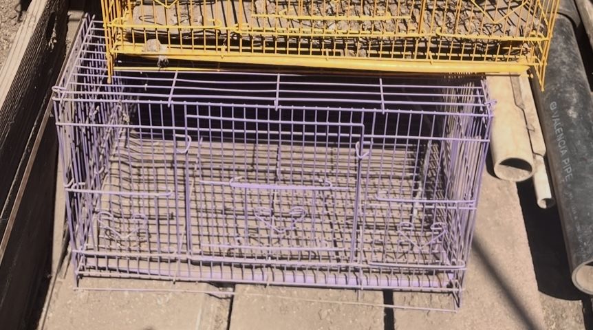 Bird Cage