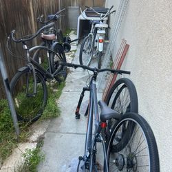 Bikes,5 Total