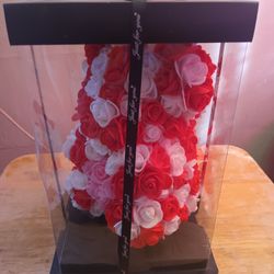 Happy Valentine's 💞 Day 