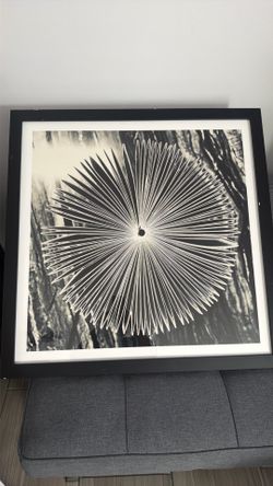 modern black-and-white framed wall art and gallery style