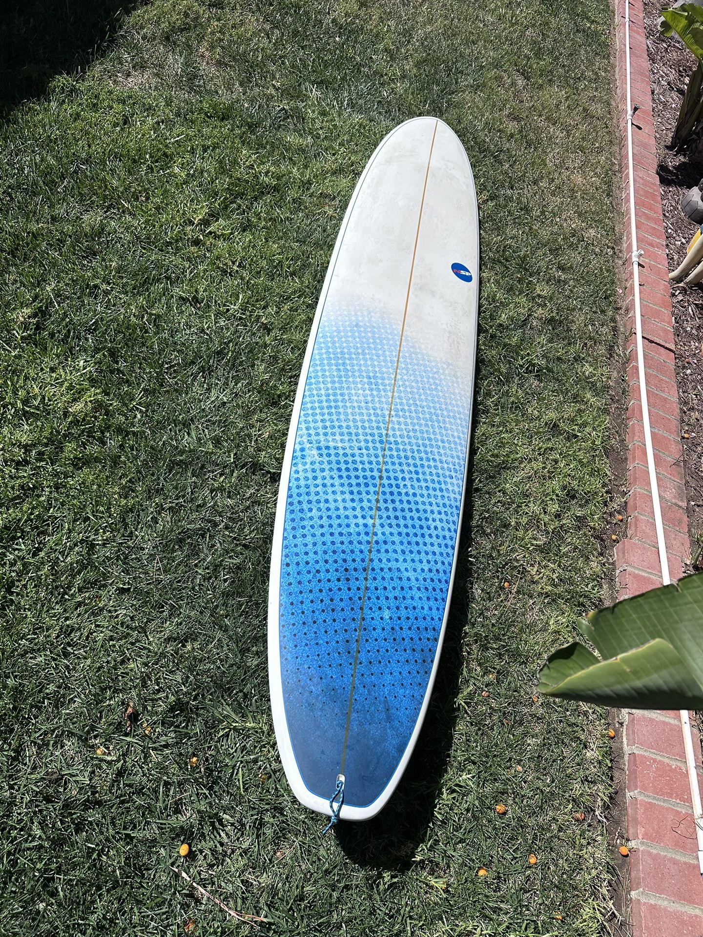 NSP longboard Surfboard 10 Foot Surf 