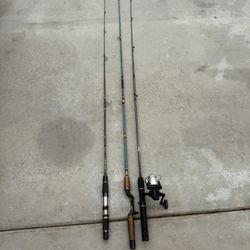 Zebco Fishing Rod