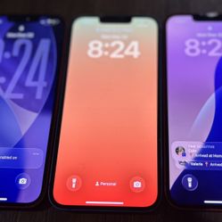 Unlocked iPhone 13 (3)