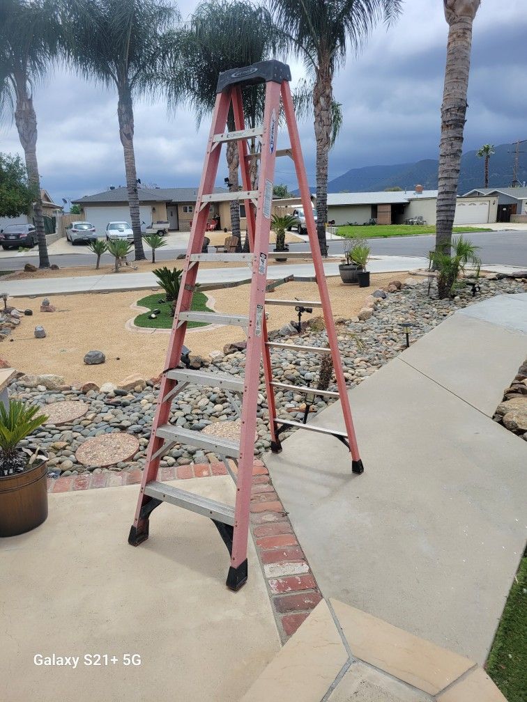 Werner Ladder 8 Ft